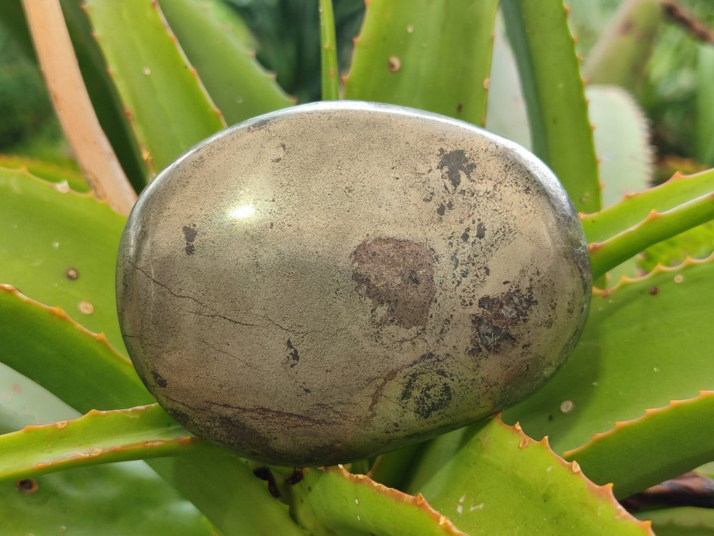 Polished Basalt Pharaoh Stone Free Forms x 4 From Iron Duke Mine, Zimbabwe