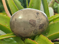 Polished Basalt Pharaoh Stone Free Forms x 4 From Iron Duke Mine, Zimbabwe
