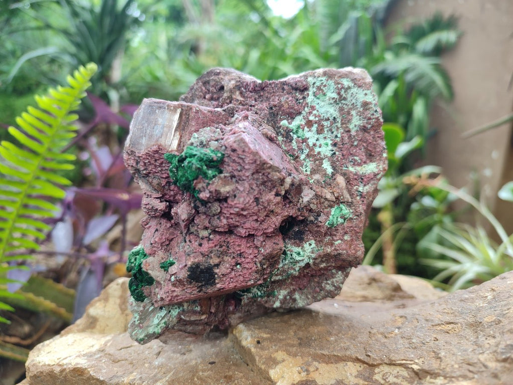 Natural Salrose Cobaltoan Dolomite Specimens with Malachite and Chrysocolla x 2 From Kakanda, Congo