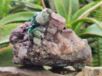Natural Salrose Cobaltoan Dolomite Specimens with Malachite and Chrysocolla x 2 From Kakanda, Congo