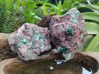 Natural Salrose Cobaltoan Dolomite Specimens with Malachite and Chrysocolla x 2 From Kakanda, Congo
