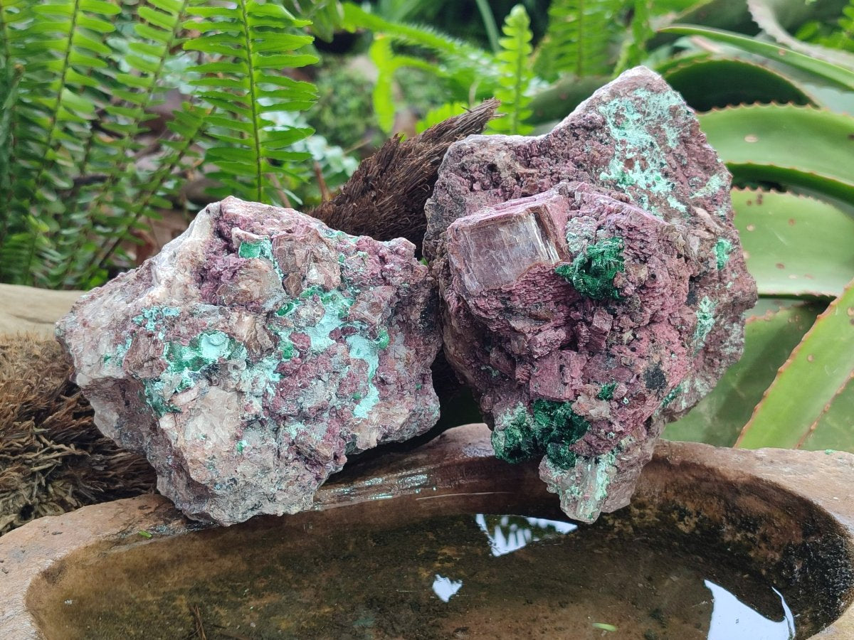 Natural Salrose Cobaltoan Dolomite Specimens with Malachite and Chrysocolla x 2 From Kakanda, Congo