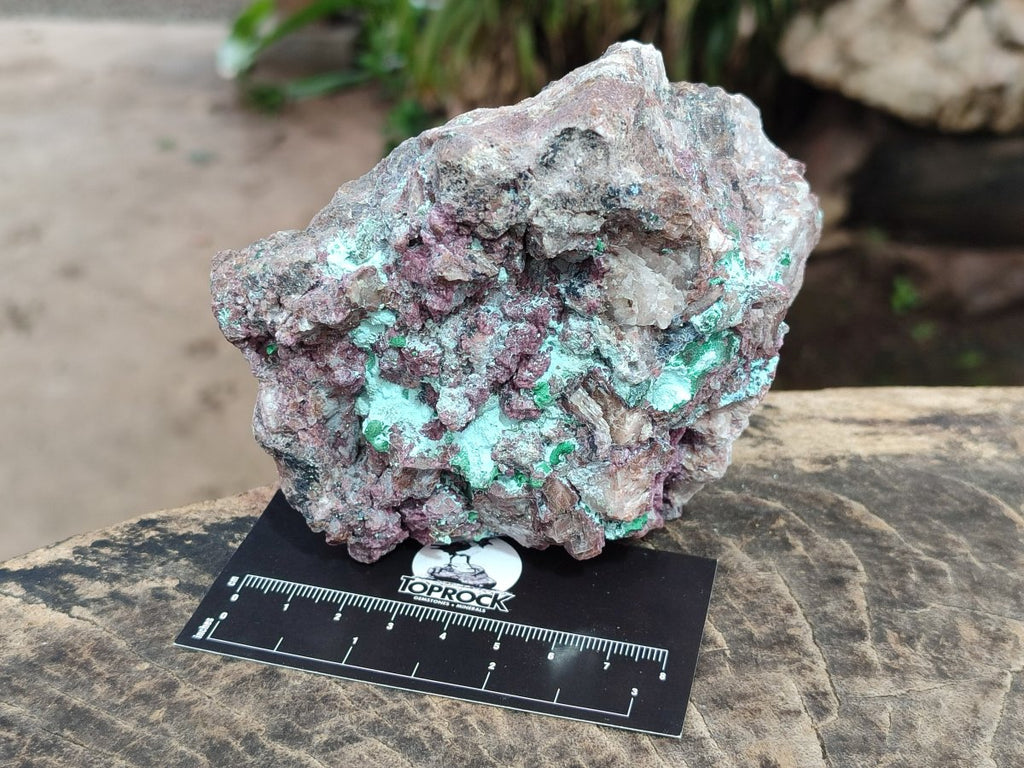 Natural Salrose Cobaltoan Dolomite Specimens with Malachite and Chrysocolla x 2 From Kakanda, Congo