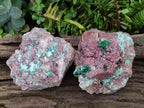 Natural Salrose Cobaltoan Dolomite Specimens with Malachite and Chrysocolla x 2 From Kakanda, Congo