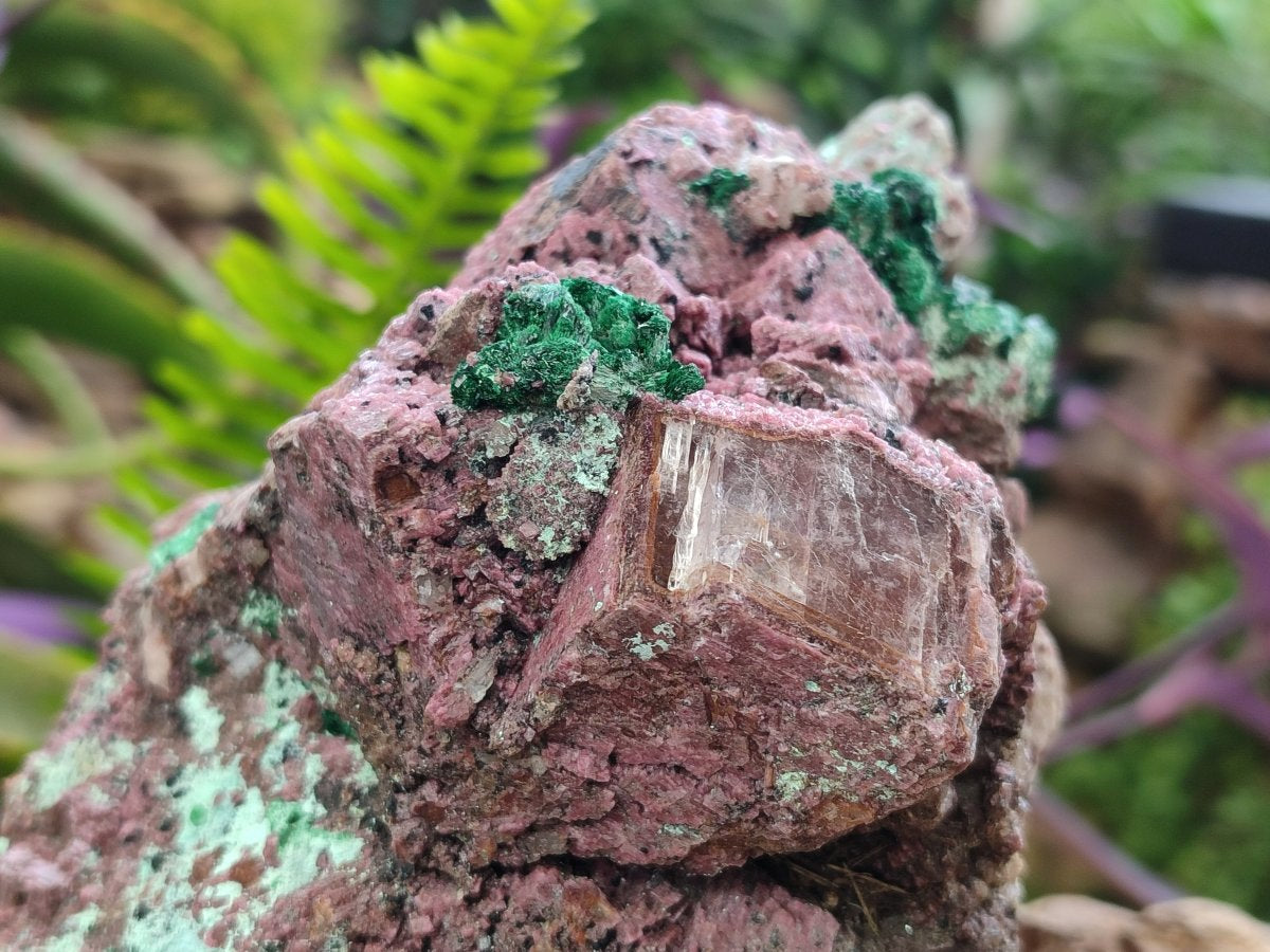 Natural Salrose Cobaltoan Dolomite Specimens with Malachite and Chrysocolla x 2 From Kakanda, Congo