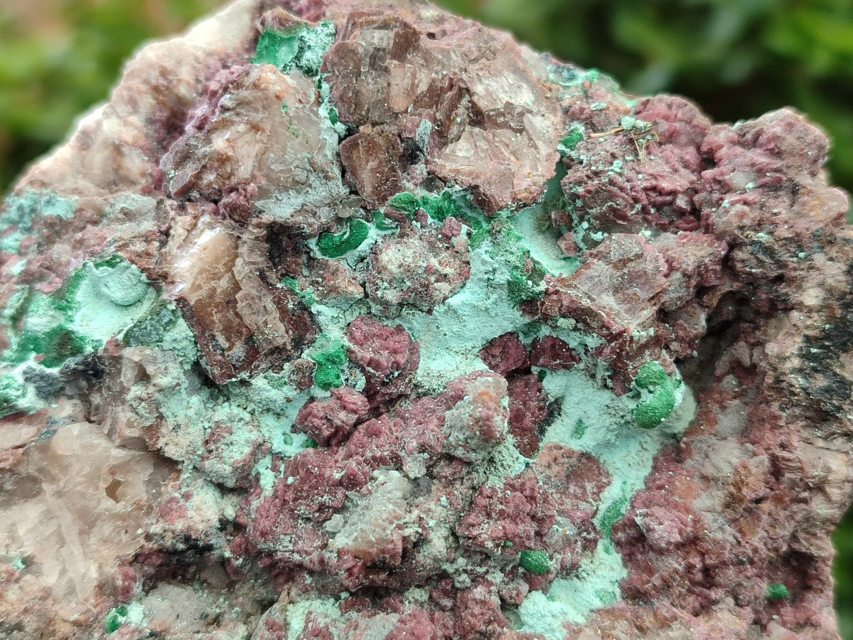 Natural Salrose Cobaltoan Dolomite Specimens with Malachite and Chrysocolla x 2 From Kakanda, Congo