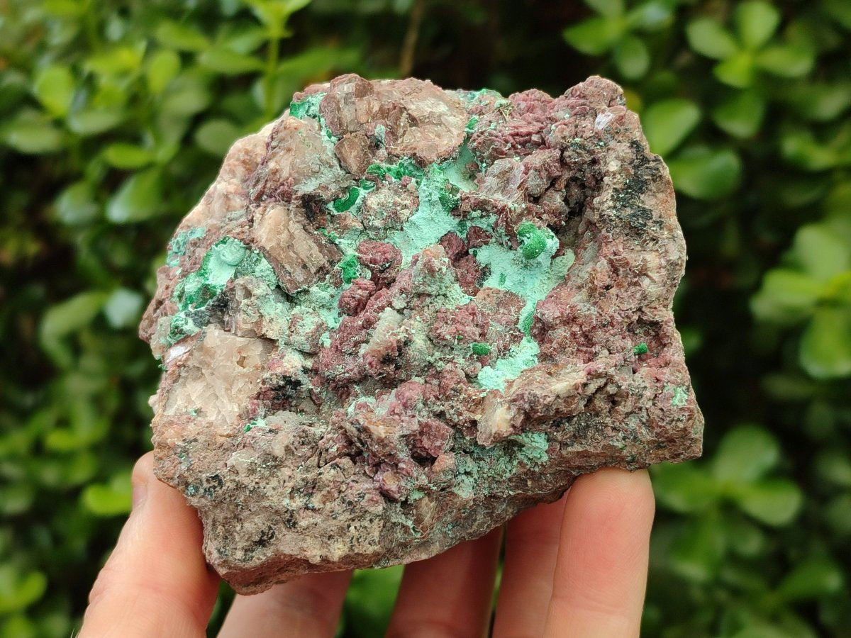 Natural Salrose Cobaltoan Dolomite Specimens with Malachite and Chrysocolla x 2 From Kakanda, Congo