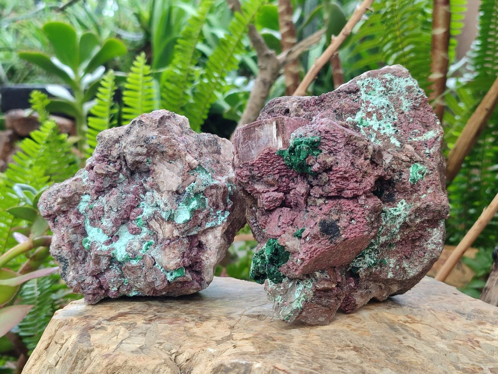 Natural Salrose Cobaltoan Dolomite Specimens with Malachite and Chrysocolla x 2 From Kakanda, Congo