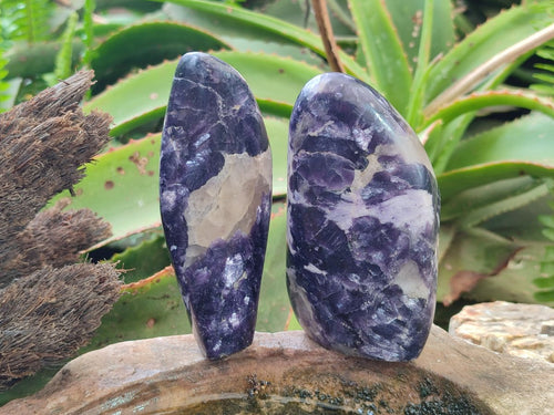 Polished Silver Leaf Lepidolite Standing Display Pieces x 6 From Zimbabwe