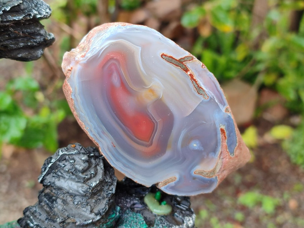 Polished One Side Red Shashe River Agate Nodules x 4 From Shashe River, Zimbabwe
