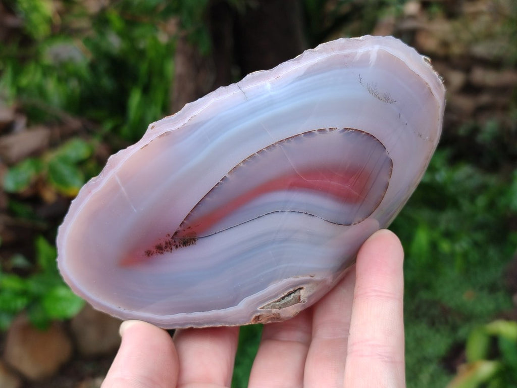 Polished One Side Red Shashe River Agate Nodules x 4 From Shashe River, Zimbabwe