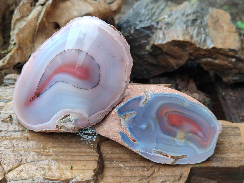 Polished One Side Red Shashe River Agate Nodules x 4 From Shashe River, Zimbabwe