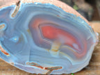 Polished One Side Red Shashe River Agate Nodules x 4 From Shashe River, Zimbabwe