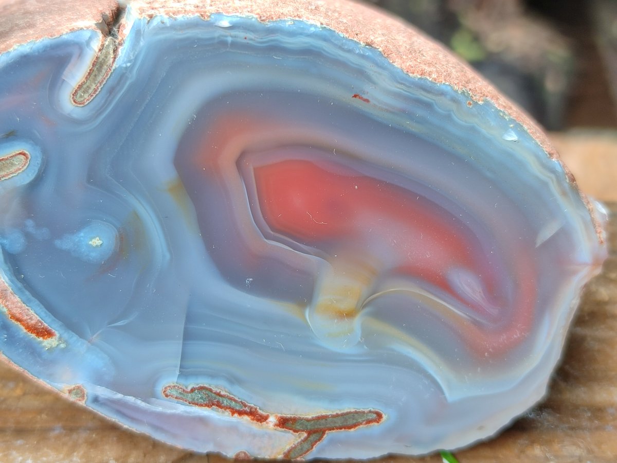 Polished One Side Red Shashe River Agate Nodules x 4 From Shashe River, Zimbabwe
