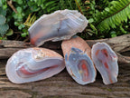 Polished One Side Red Shashe River Agate Nodules x 4 From Shashe River, Zimbabwe