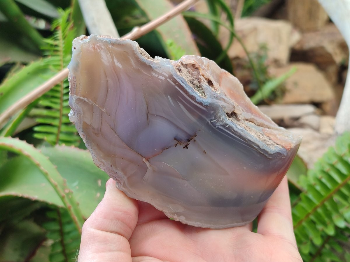 Polished One Side Red Shashe River Agate Nodules x 4 From Shashe River, Zimbabwe