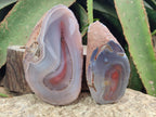 Polished One Side Red Shashe River Agate Nodules x 4 From Shashe River, Zimbabwe