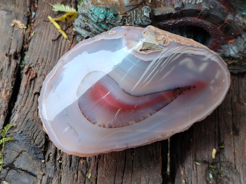 Polished One Side Red Shashe River Agate Nodules x 4 From Shashe River, Zimbabwe