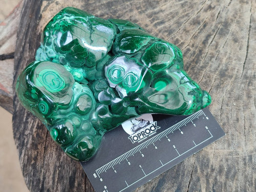 Polished Flower Banded Malachite Free Forms x 4 From Congo