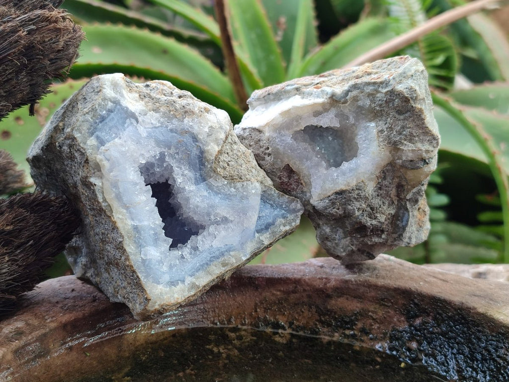 Natural Blue Lace Agate Geode and Vug Specimens x 12 From Nsanje, Malawi