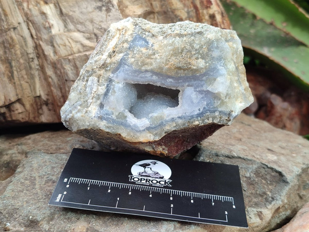 Natural Blue Lace Agate Geode and Vug Specimens x 12 From Nsanje, Malawi