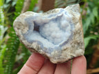 Natural Blue Lace Agate Geode and Vug Specimens x 12 From Nsanje, Malawi