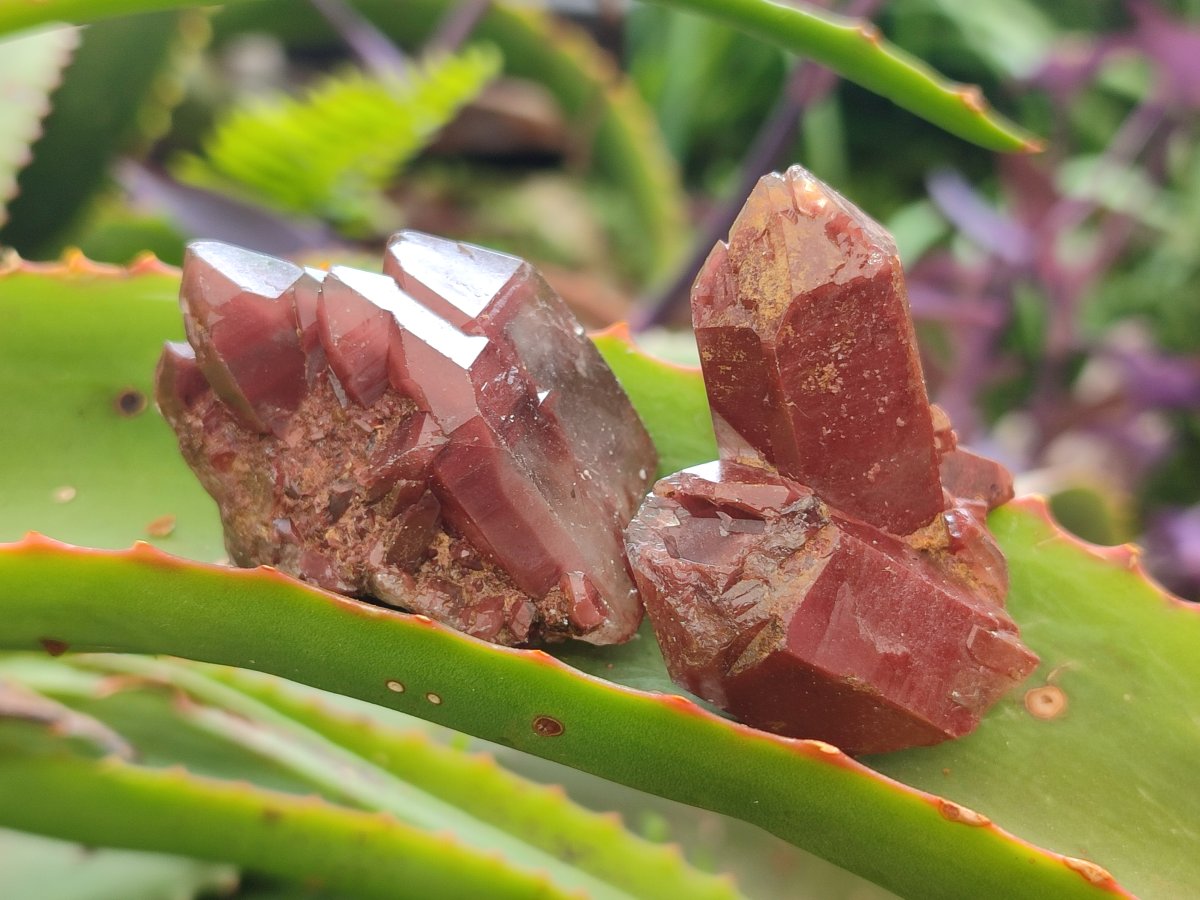 Natural Red Hematoid Quartz Crystals x 70 From Karoi, Zimbabwe