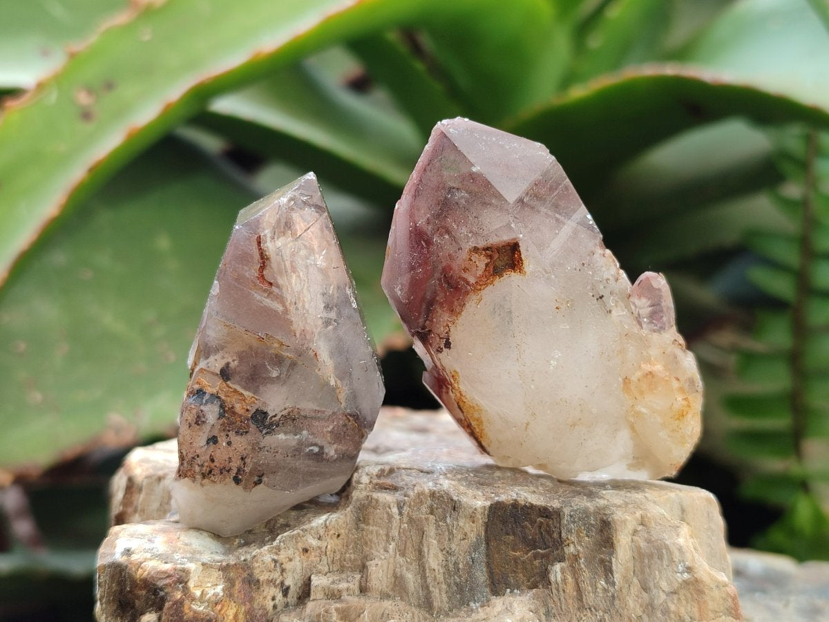 Natural Red Hematoid Quartz Crystals x 70 From Karoi, Zimbabwe