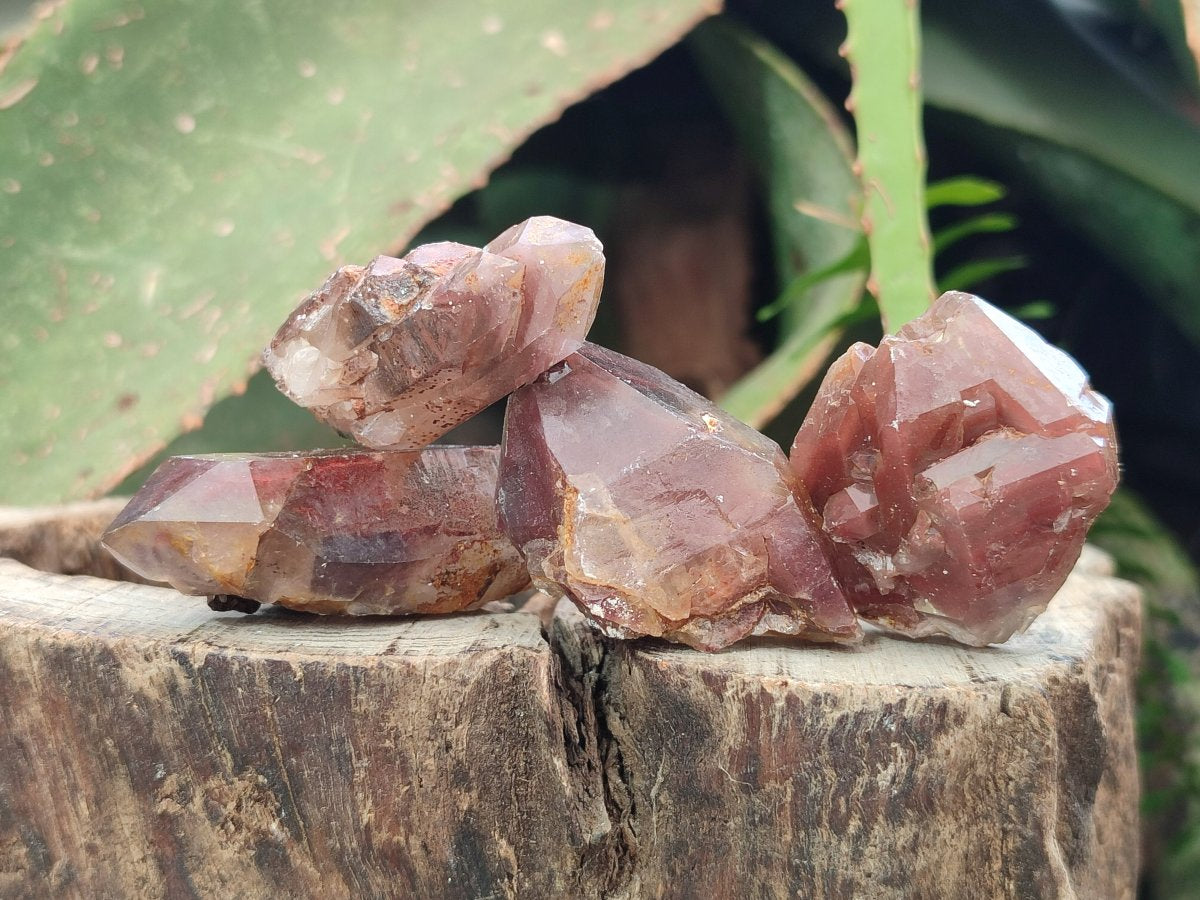 Natural Red Hematoid Quartz Crystals x 70 From Karoi, Zimbabwe