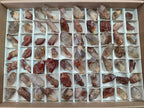 Natural Red Hematoid Quartz Crystals x 70 From Karoi, Zimbabwe