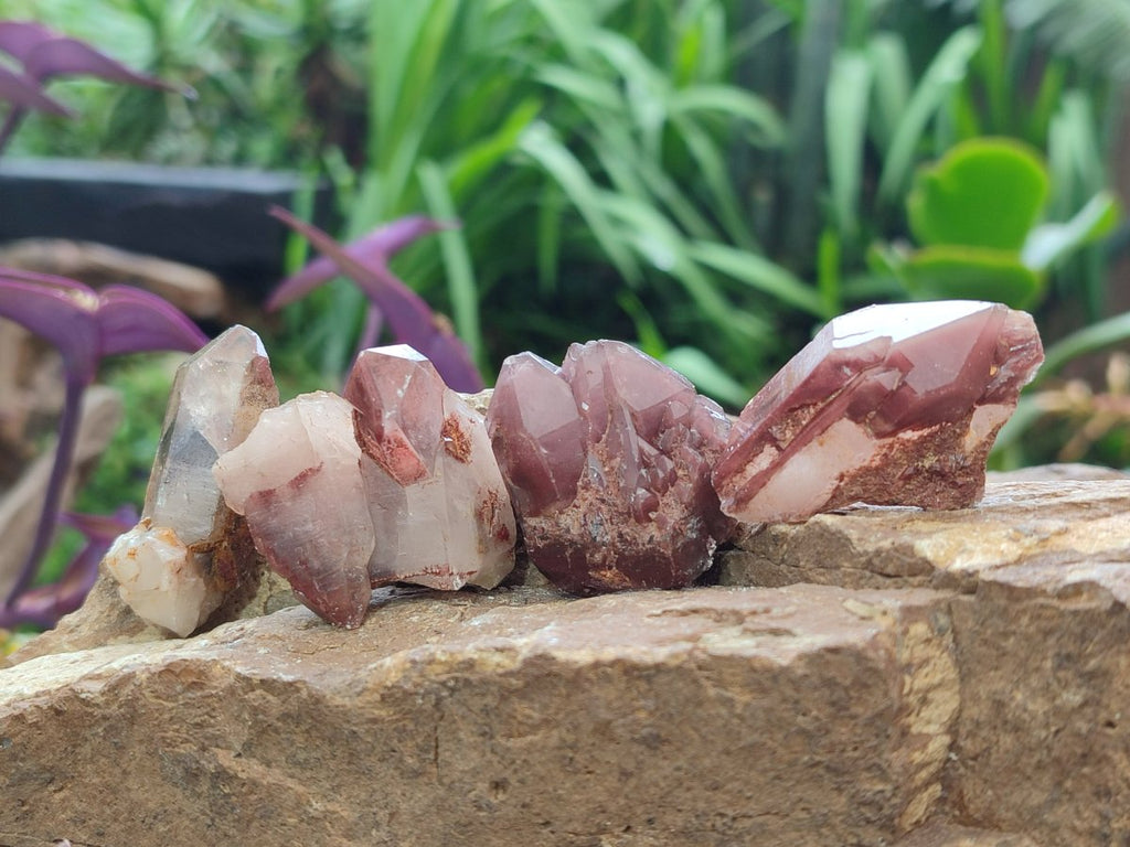 Natural Red Hematoid Quartz Crystals x 70 From Karoi, Zimbabwe