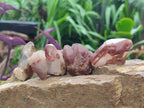 Natural Red Hematoid Quartz Crystals x 70 From Karoi, Zimbabwe