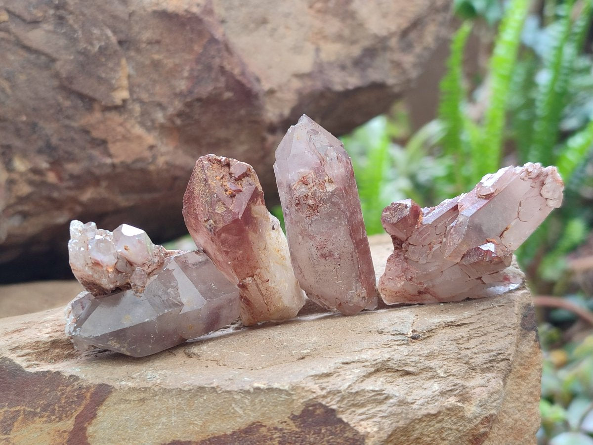 Natural Red Hematoid Quartz Crystals x 70 From Karoi, Zimbabwe
