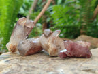 Natural Red Hematoid Quartz Crystals x 70 From Karoi, Zimbabwe