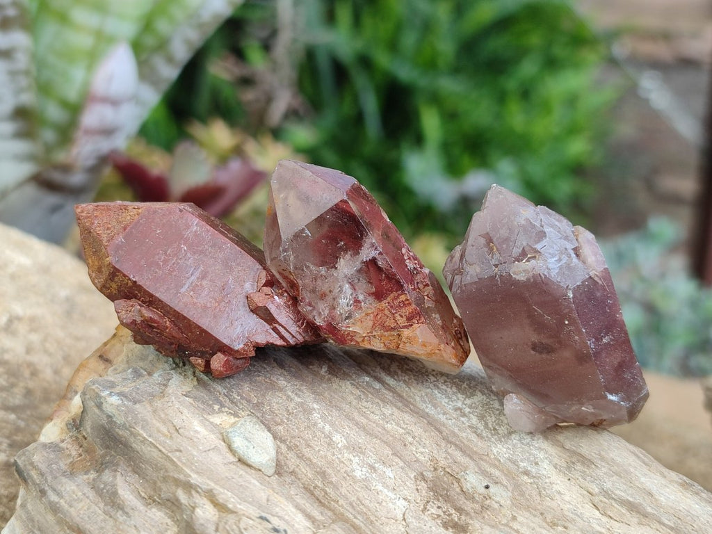 Natural Red Hematoid Quartz Crystals x 70 From Karoi, Zimbabwe