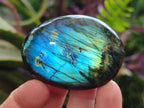 Polished Mix of Multi Mineral Galets x 24 From Madagascar