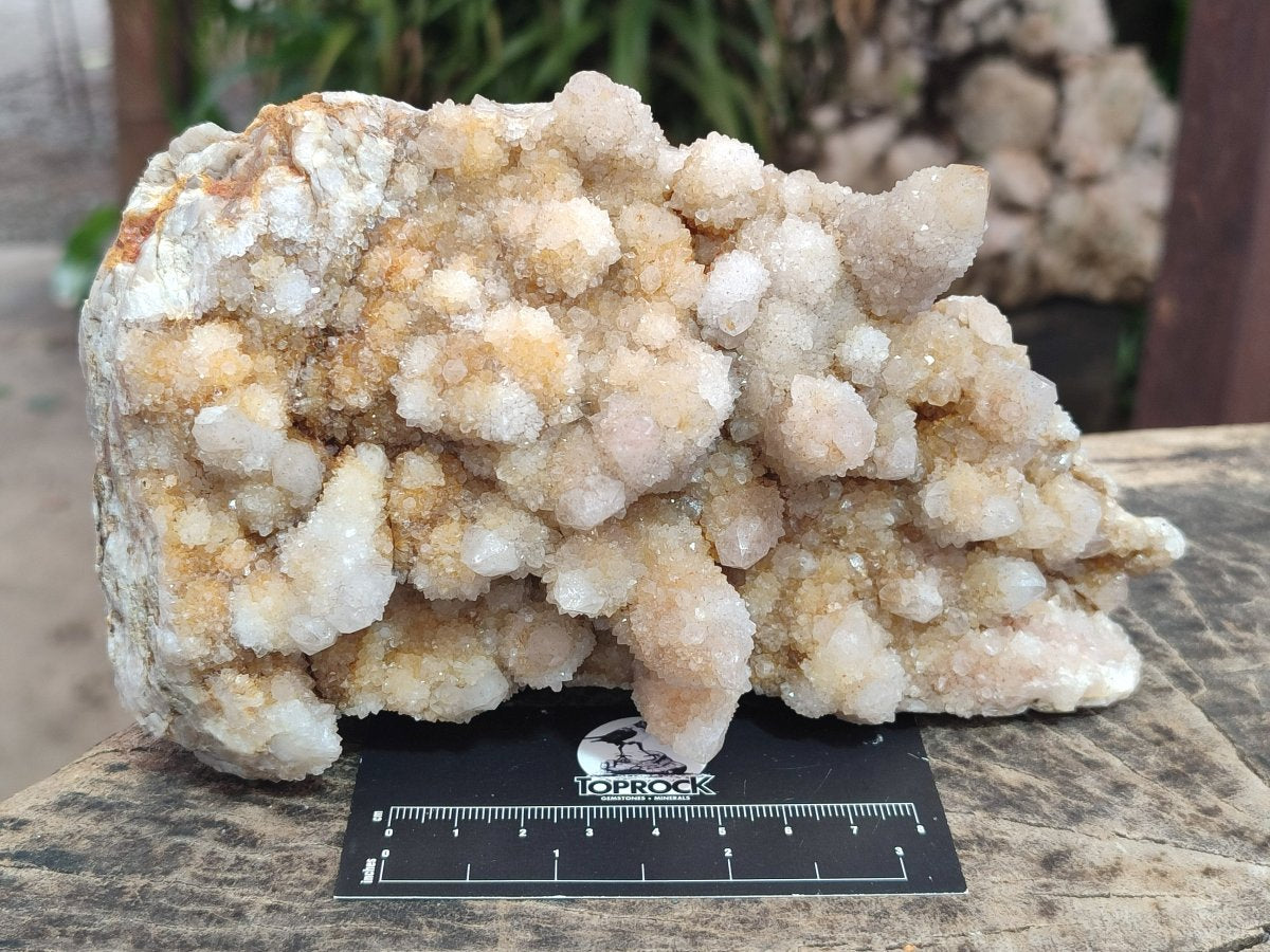 Natural Limonite Tinted Spirit Quartz Clusters x 2 From Boekenhouthoek, South Africa
