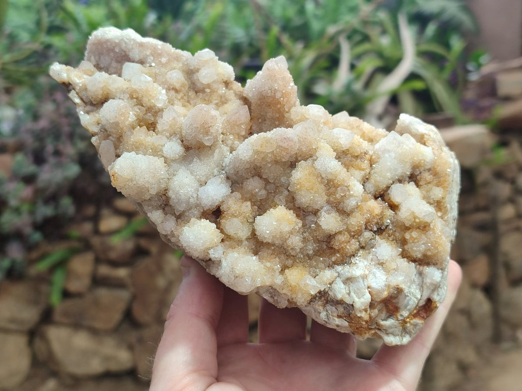 Natural Limonite Tinted Spirit Quartz Clusters x 2 From Boekenhouthoek, South Africa