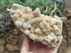 Natural Limonite Tinted Spirit Quartz Clusters x 2 From Boekenhouthoek, South Africa