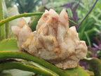 Natural Limonite Tinted Spirit Quartz Clusters x 2 From Boekenhouthoek, South Africa