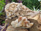 Natural Limonite Tinted Spirit Quartz Clusters x 2 From Boekenhouthoek, South Africa