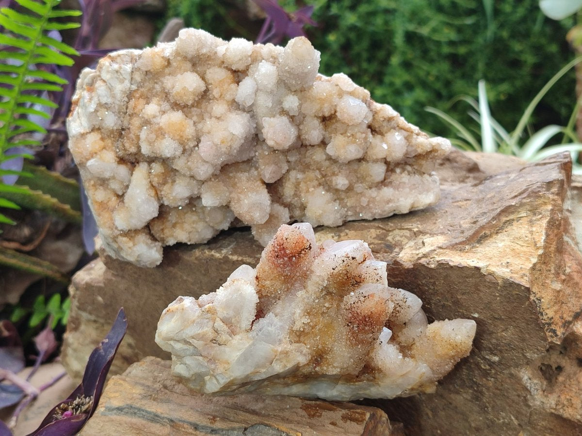 Natural Limonite Tinted Spirit Quartz Clusters x 2 From Boekenhouthoek, South Africa