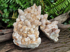 Natural Limonite Tinted Spirit Quartz Clusters x 2 From Boekenhouthoek, South Africa