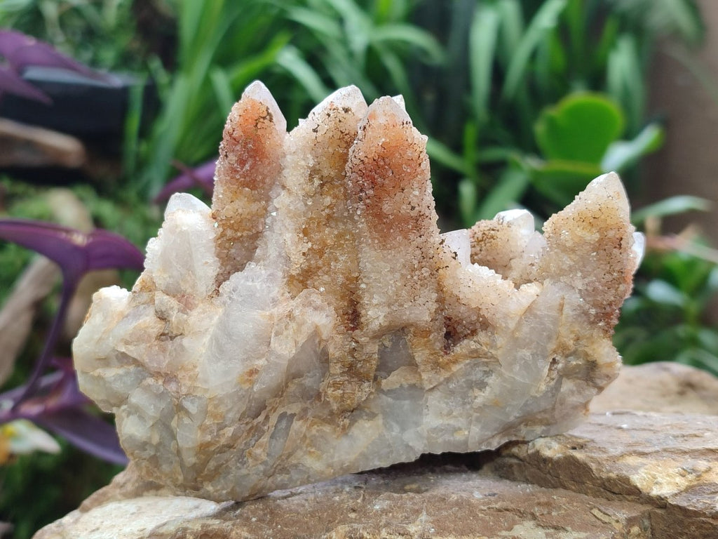 Natural Limonite Tinted Spirit Quartz Clusters x 2 From Boekenhouthoek, South Africa