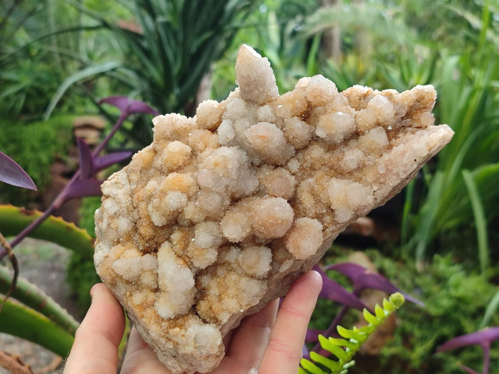 Natural Limonite Tinted Spirit Quartz Clusters x 2 From Boekenhouthoek, South Africa
