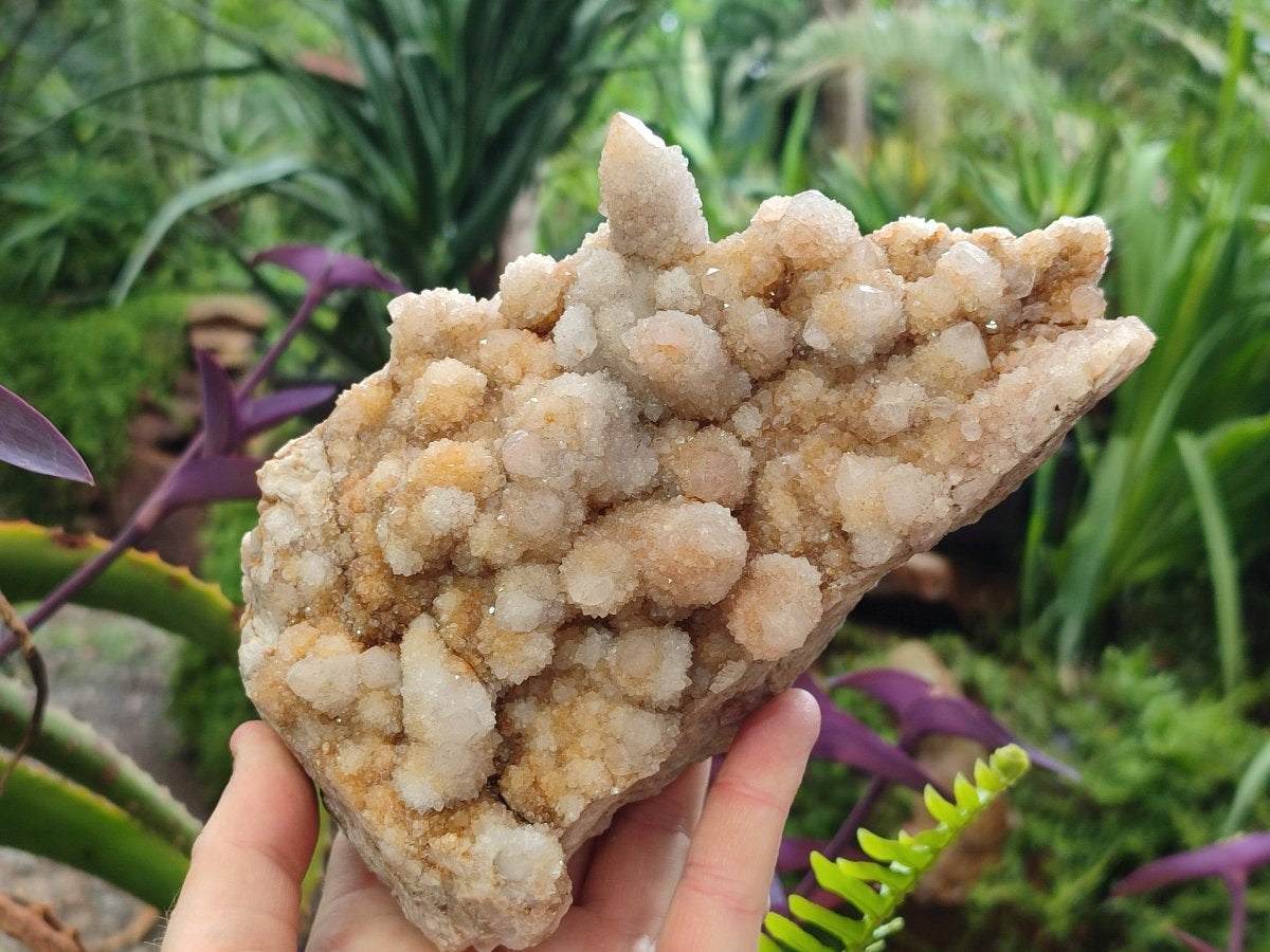 Natural Limonite Tinted Spirit Quartz Clusters x 2 From Boekenhouthoek, South Africa