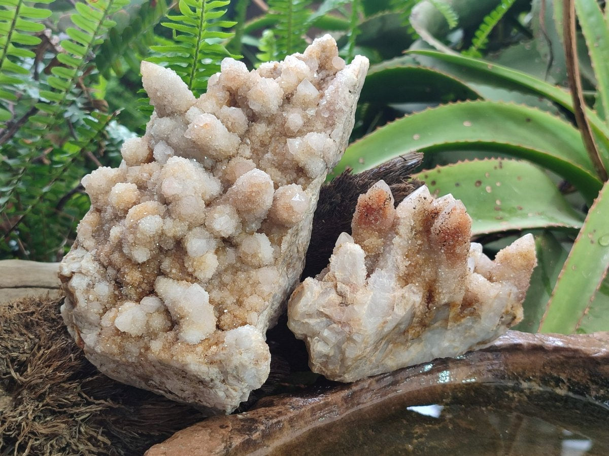 Natural Limonite Tinted Spirit Quartz Clusters x 2 From Boekenhouthoek, South Africa