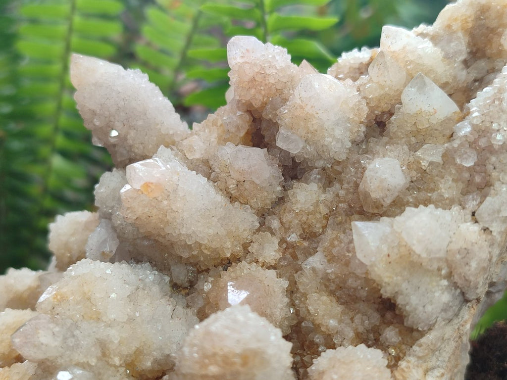 Natural Limonite Tinted Spirit Quartz Clusters x 2 From Boekenhouthoek, South Africa