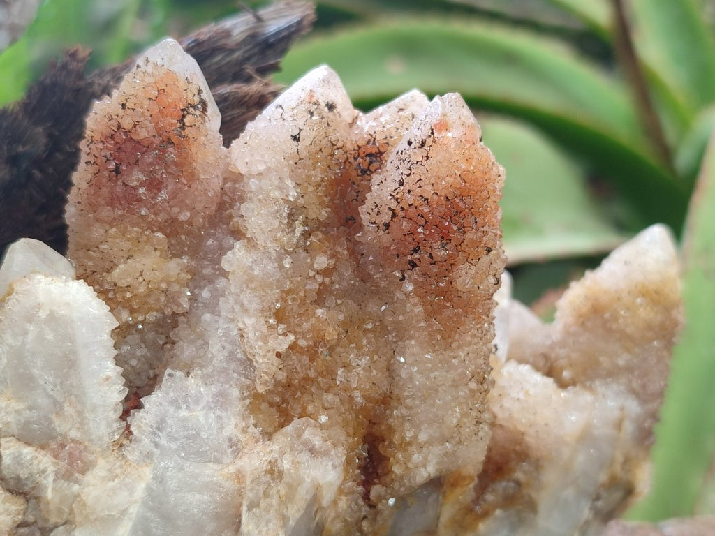 Natural Limonite Tinted Spirit Quartz Clusters x 2 From Boekenhouthoek, South Africa