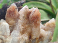 Natural Limonite Tinted Spirit Quartz Clusters x 2 From Boekenhouthoek, South Africa